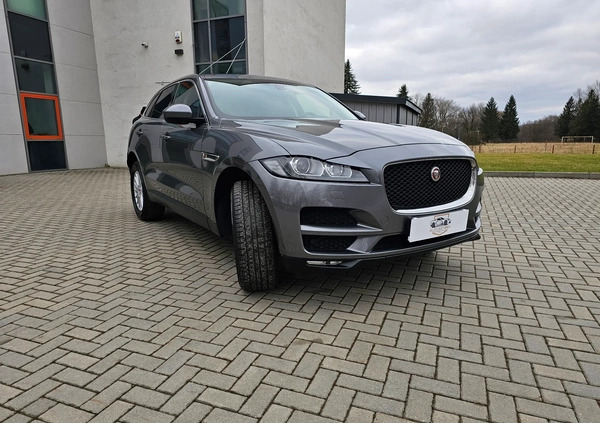 Jaguar F-Pace cena 63000 przebieg: 164000, rok produkcji 2017 z Sanok małe 781